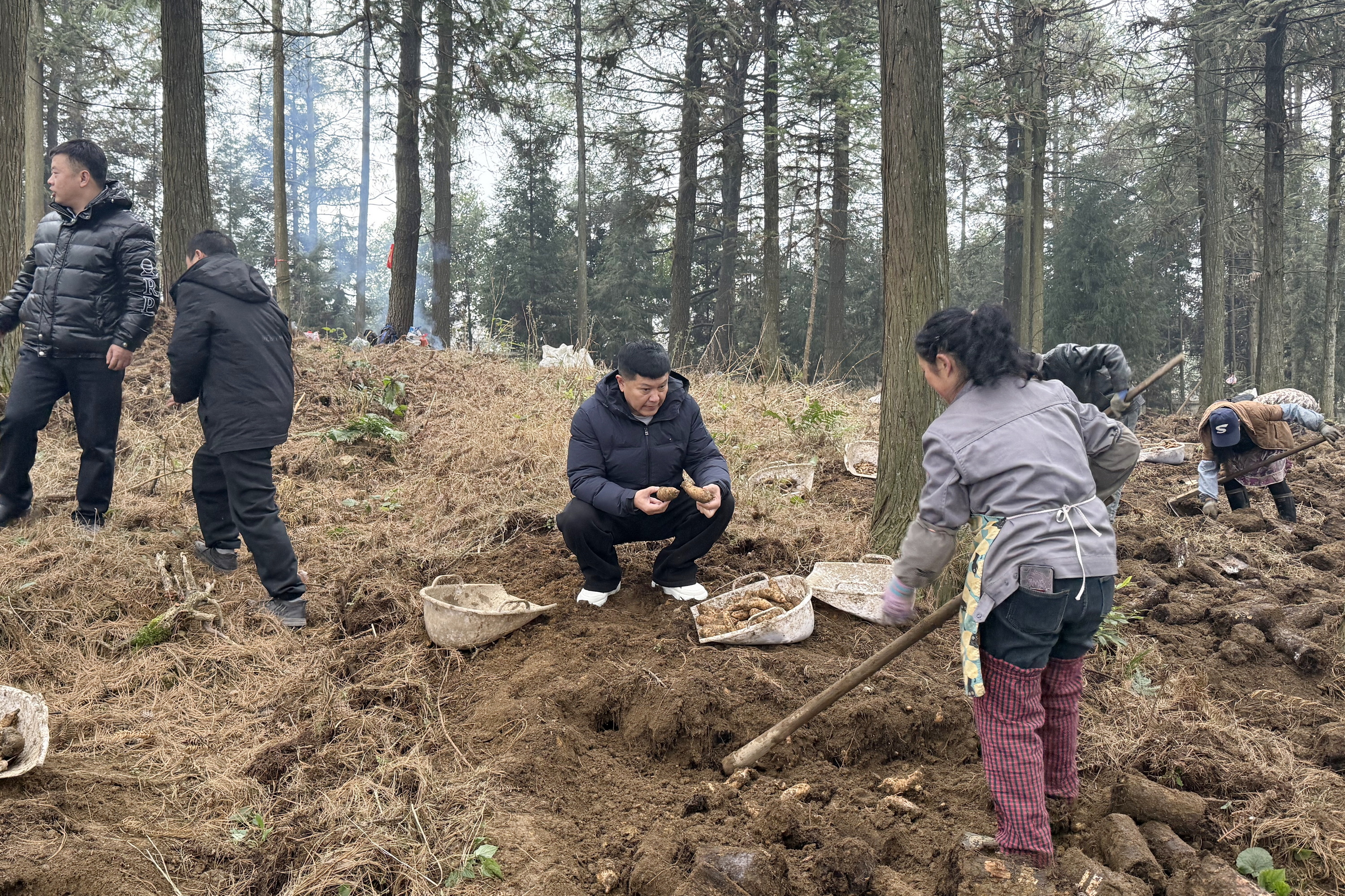 1.27践行组团帮扶理念 助力金沙产业合作——沈阳民进会员高志博到民进中央定点帮扶金沙县考察 (1).jpg